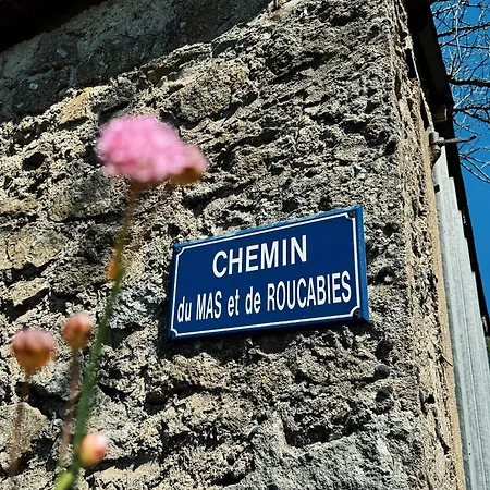 De Alpesi faház Dourbies